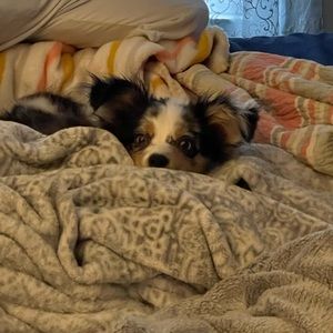 Meet your Posher, Sandy